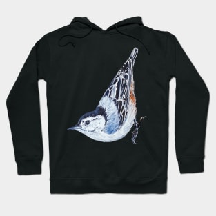 White Breasted Nuthatch - wild bird painting (no background) Hoodie